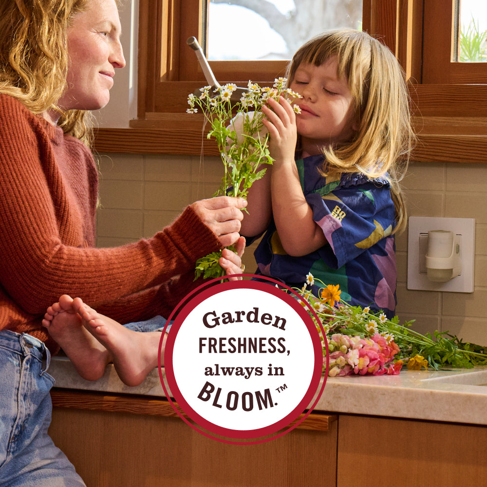 Plug In Oil Warmer - for Home Fragrance