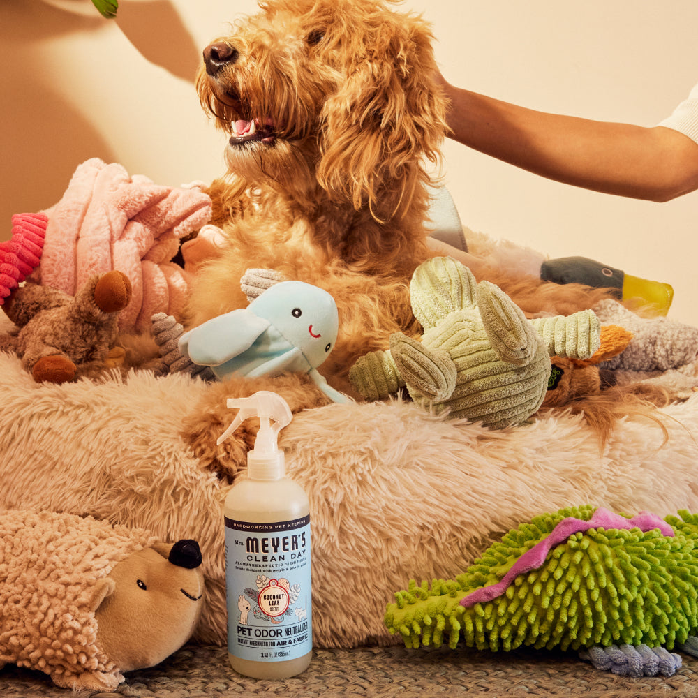 Pet Cleaning Essentials Set - for Coordinated Home Care