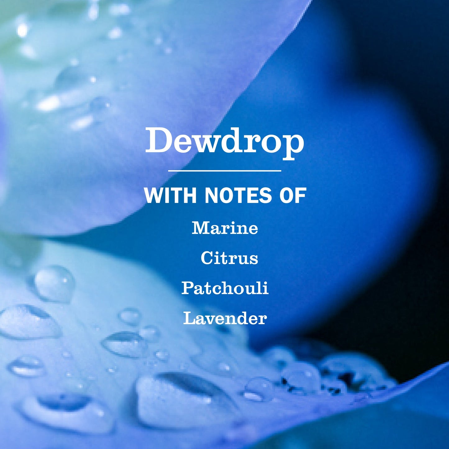 Dewdrop Collection - for Hand Care