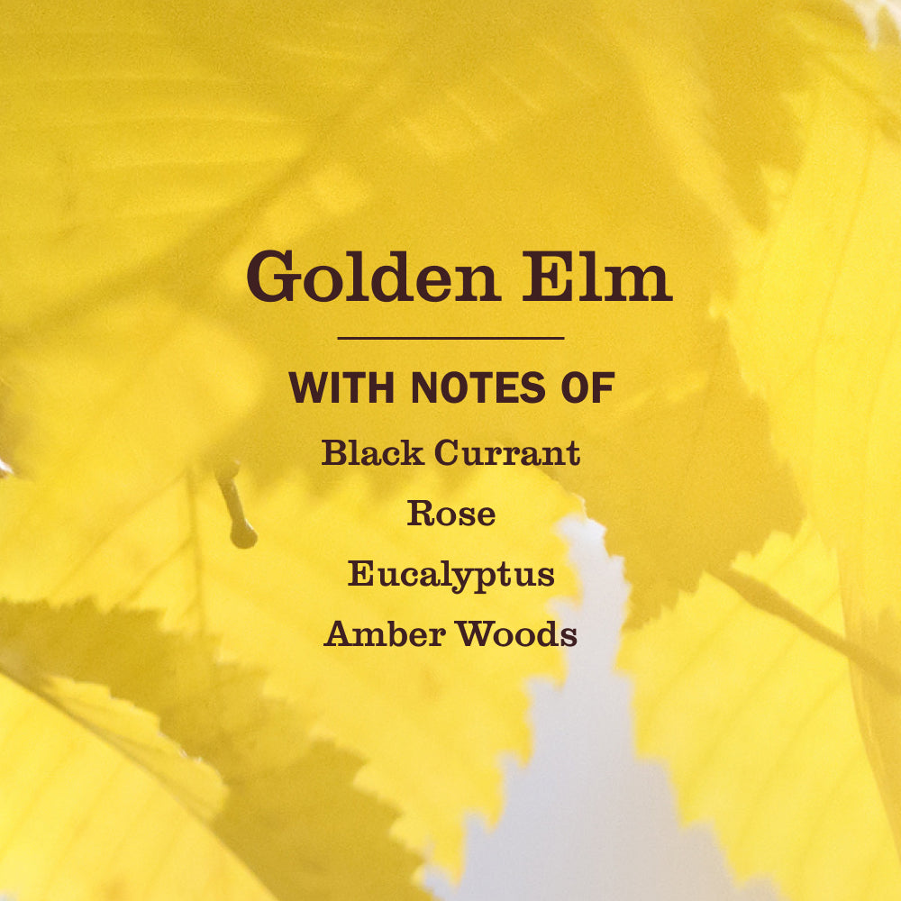 Golden Elm Liquid Hand Soap - for Hand Care