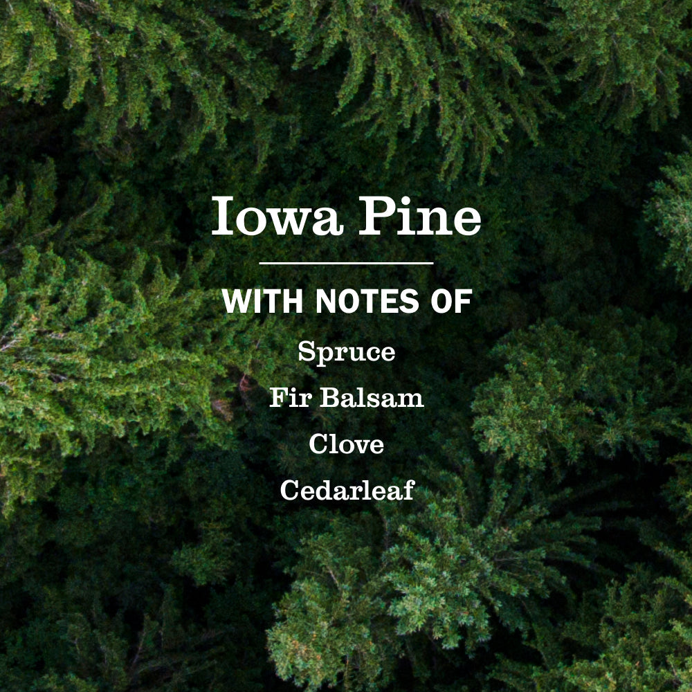 Iowa Pine Plug In Scented Oil Warmer With Refill - for Home Fragrance