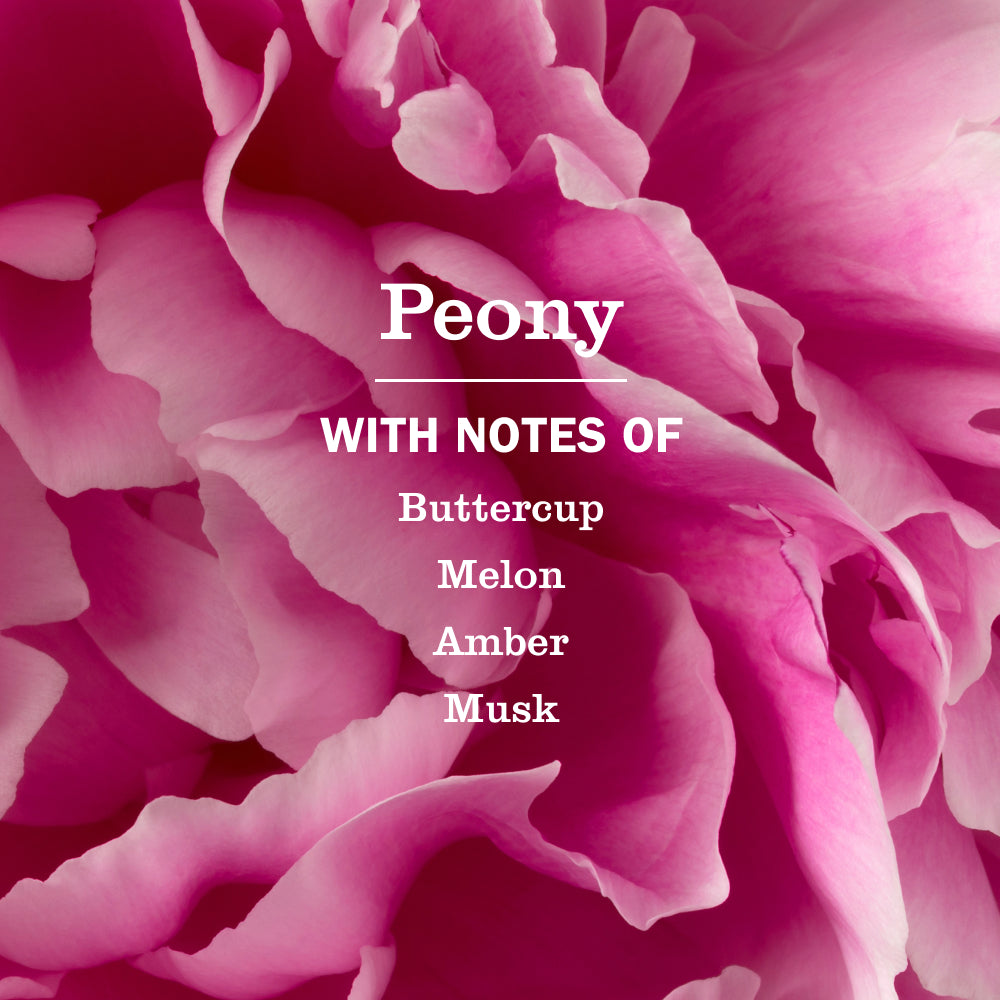 Peony Liquid Hand Soap and Refill Set - for Hand Care
