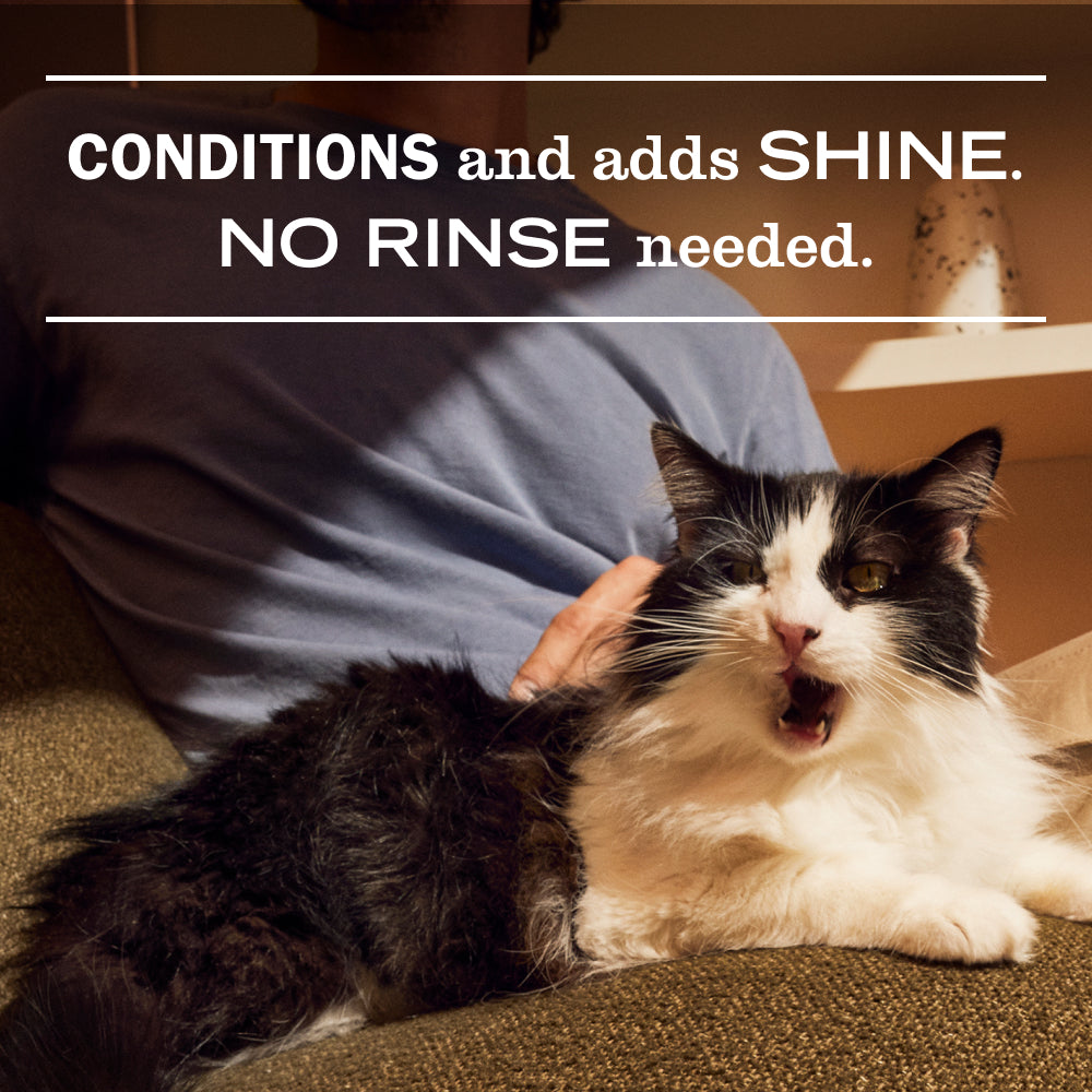 Cat Care Set - for Coordinated Home Care