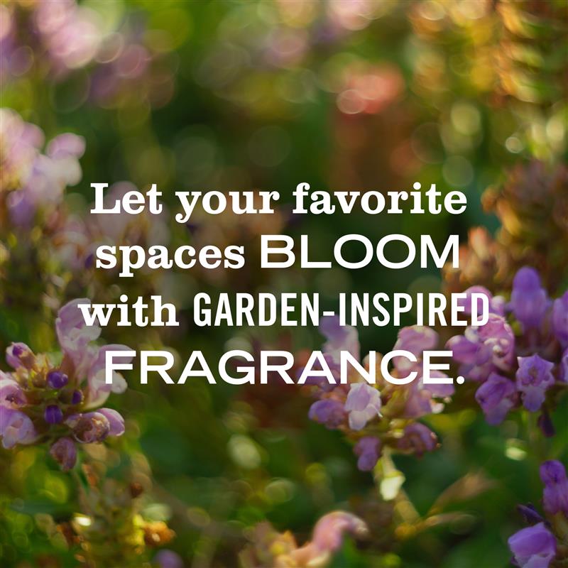 Lavender Plug In Scented Oil Warmer With Refill - for Home Fragrance
