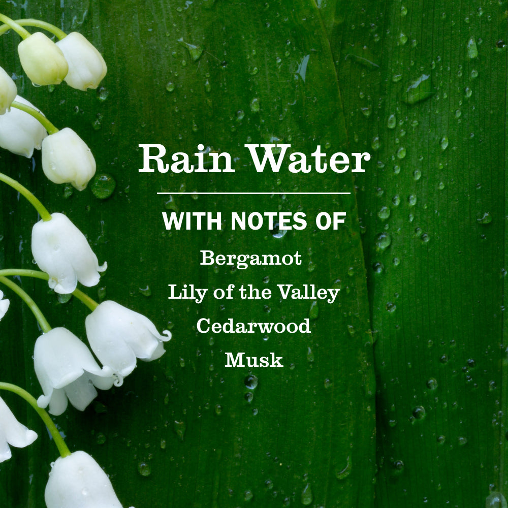 Rain Water Plug In Scented Oil Warmer With Refill - for Home Fragrance