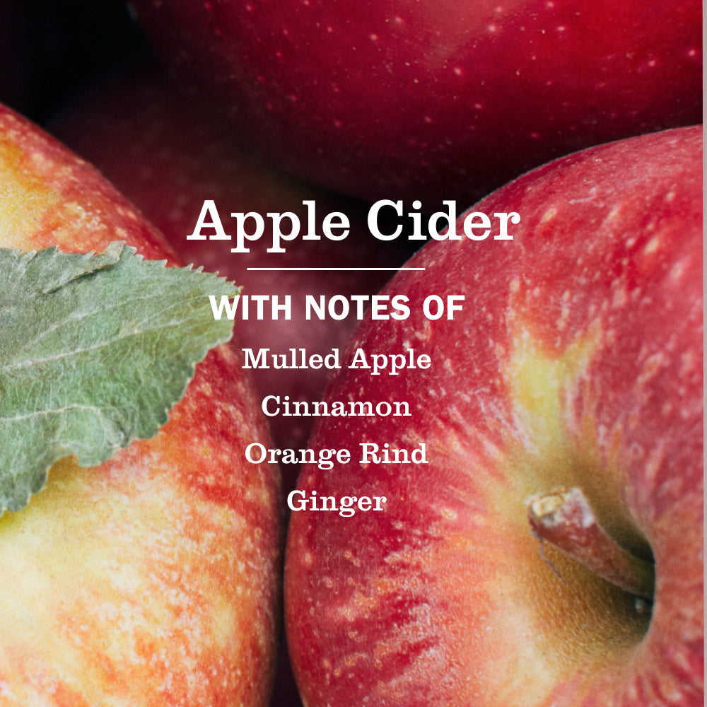 Mrs. Meyers Apple Cider Liquid Hand Soap - for Hand Care