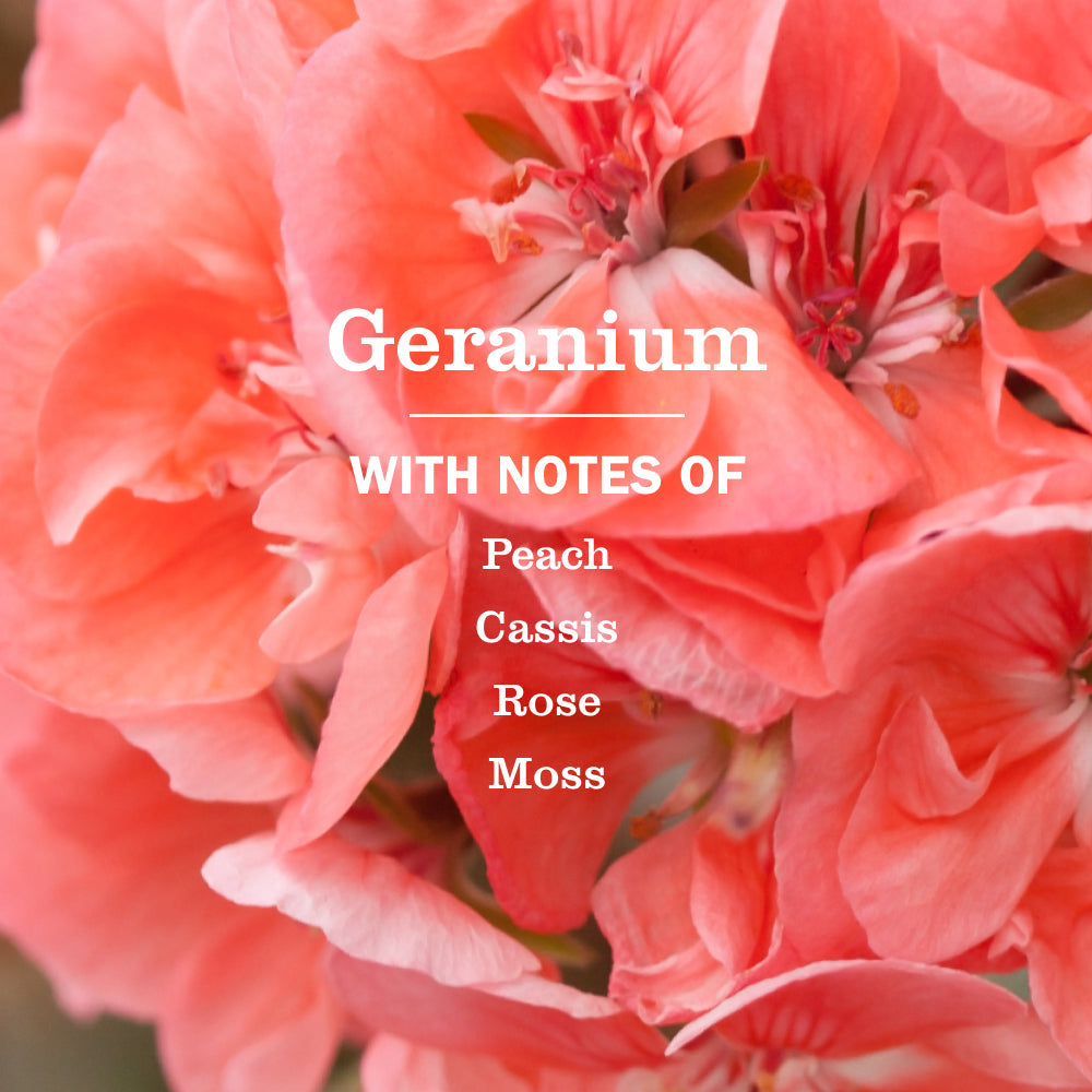 Mrs. Meyers Geranium Multi - Surface Everyday Cleaner - for Home Cleaning