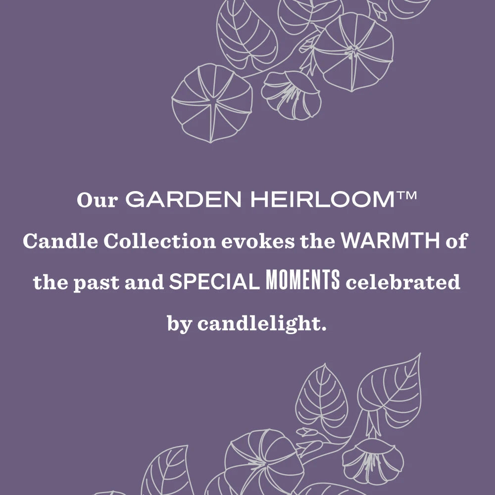 Mrs. Meyers Moonflower Garden Heirloom Candle - for Home Fragrance