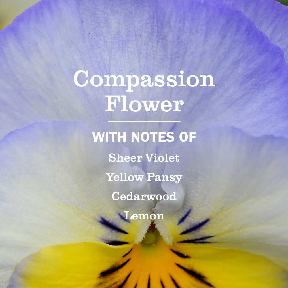 Mrs. Meyers Compassion Flower Liquid Hand Soap Refill - for Hand Care