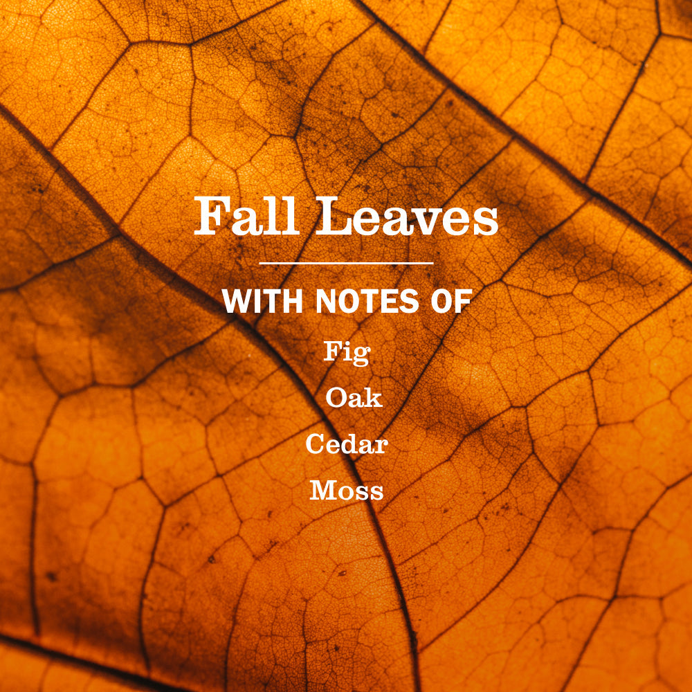 Mrs. Meyers Fall Leaves Liquid Hand Soap - for Hand Care