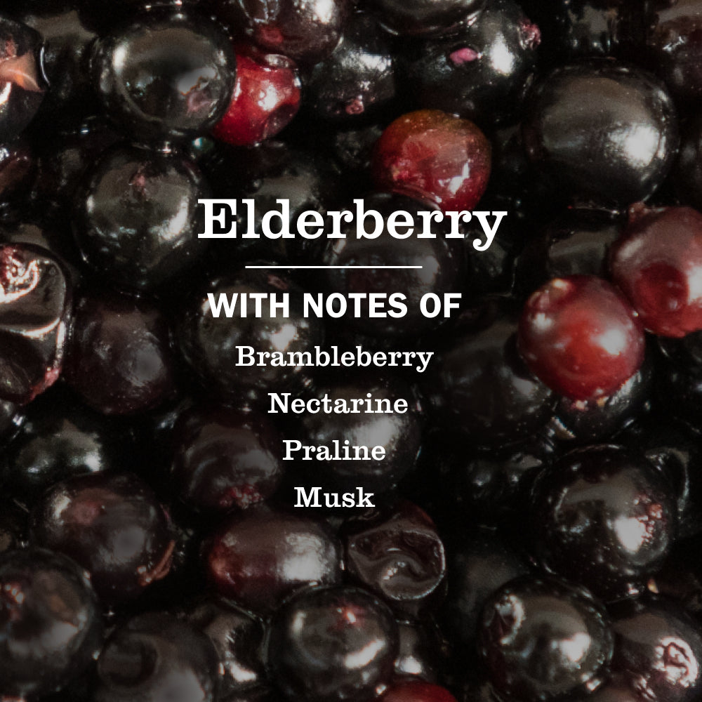 Elderberry Multi - Surface Everyday Cleaner - for Home Cleaning