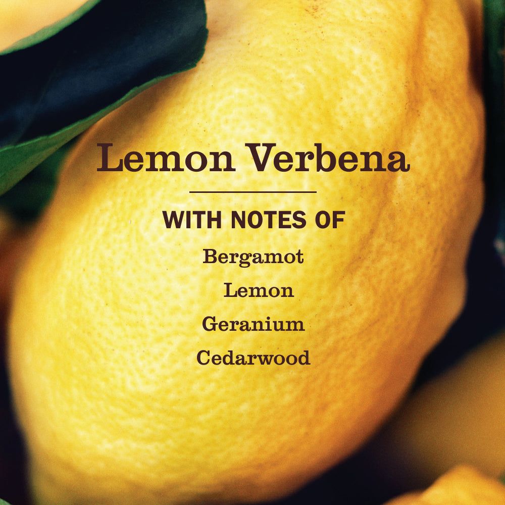 Mrs. Meyers Lemon Verbena Dish Soap - for Dishwashing