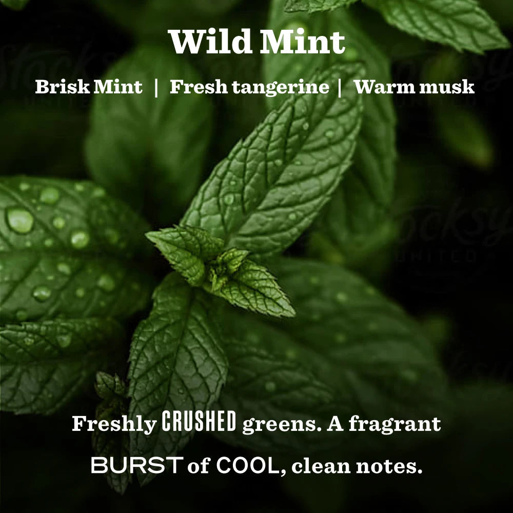 Mrs. Meyers Wild Mint Garden Heirloom Candle - for Home Fragrance