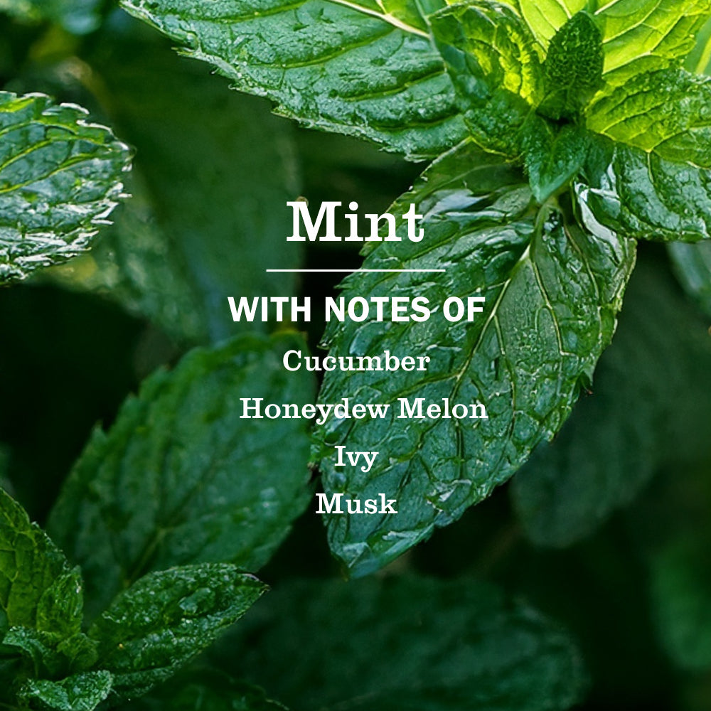 Mrs. Meyers Mint Multi - Surface Everyday Cleaner - for Home Cleaning