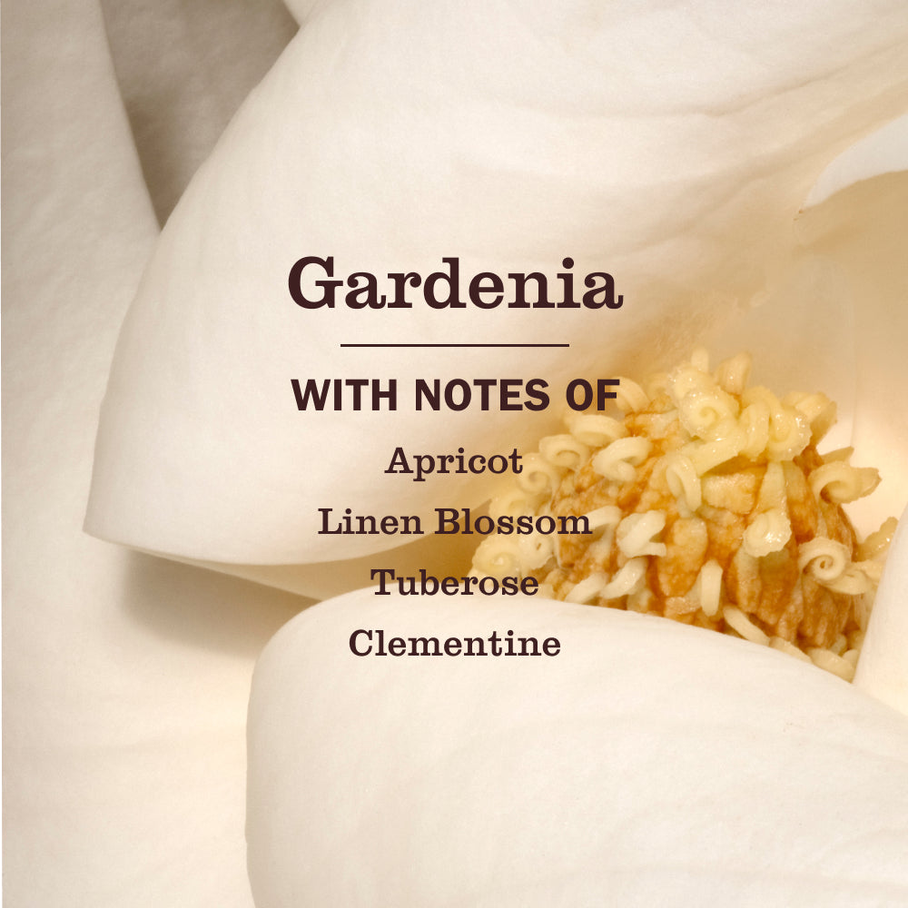 Mrs. Meyers Gardenia Liquid Hand Soap - for Hand Care