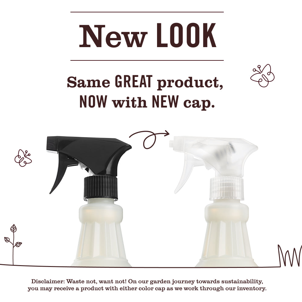 Clementine Multi - Surface Everyday Cleaner - for Home Cleaning