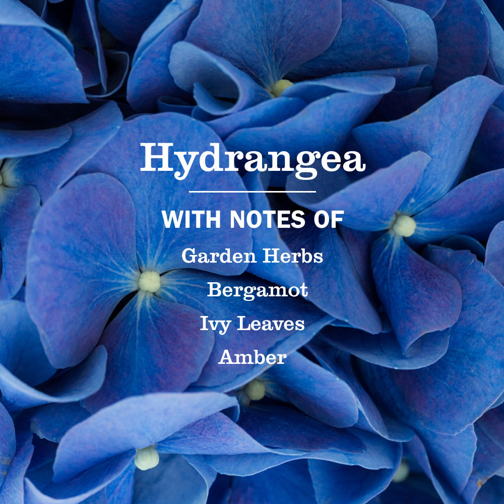 Hydrangea Liquid Hand Soap - for Hand Care