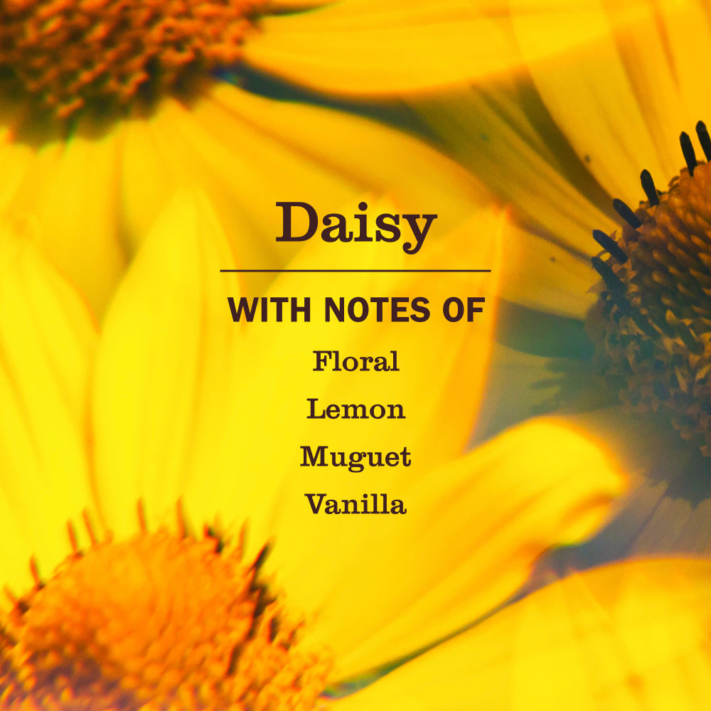 Mrs. Meyers Daisy Liquid Hand Soap 3 - count Bundle - for Hand Care