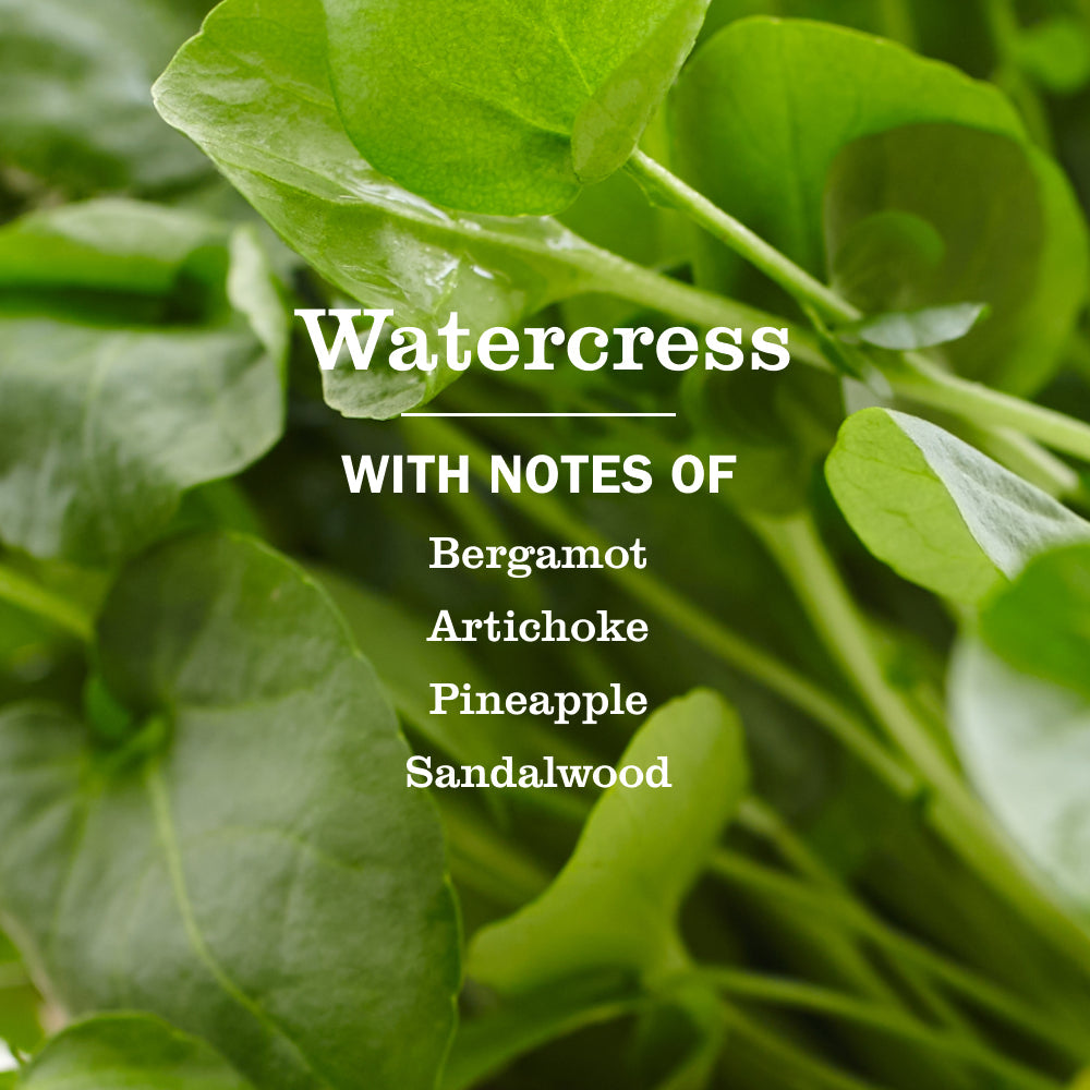 Watercress Liquid Hand Soap - for Hand Care