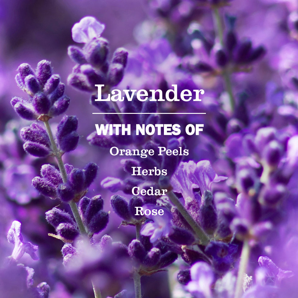 Mrs. Meyers Lavender Dish Soap - for Dishwashing