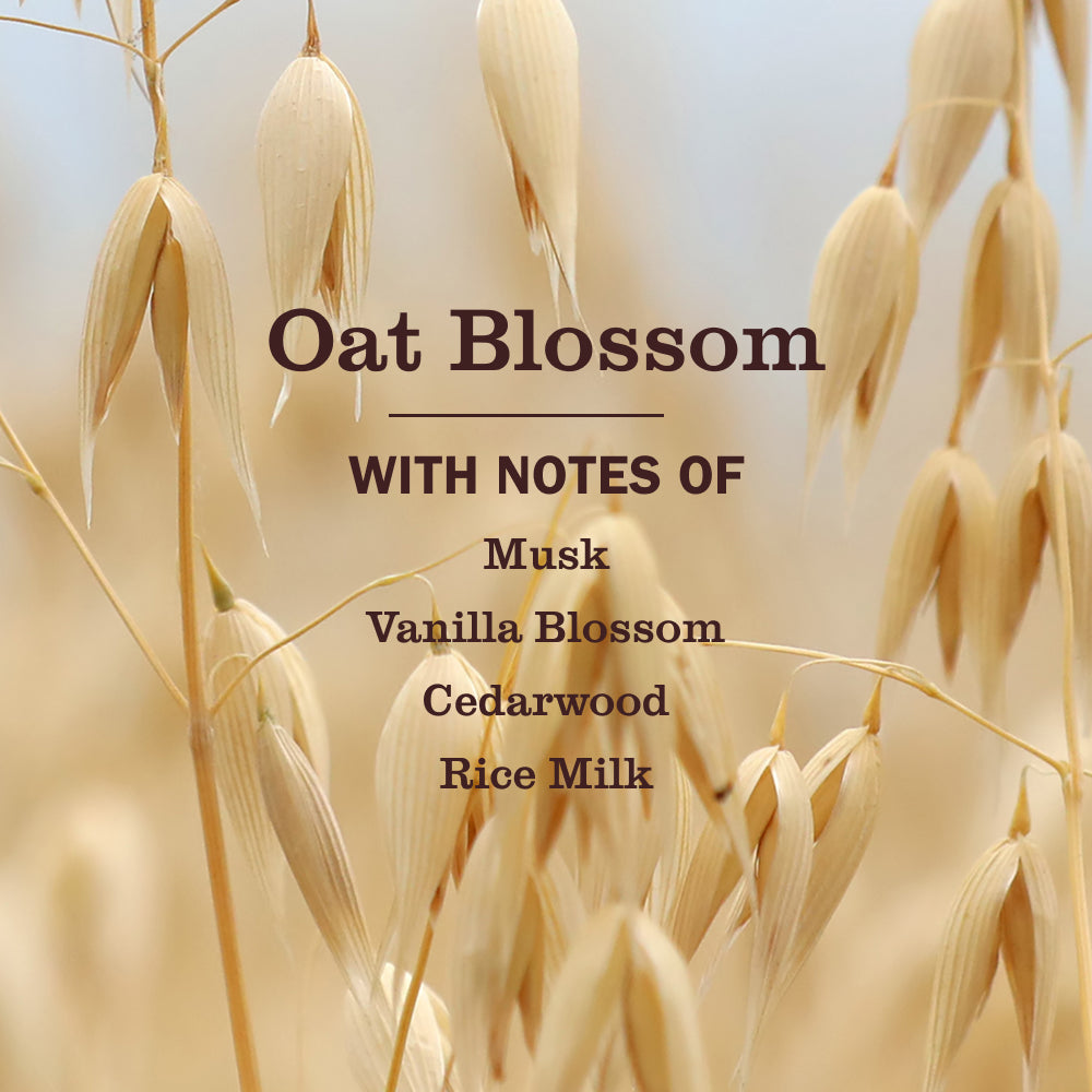 Oat Blossom Liquid Hand Soap and Refill Set - for Hand Care
