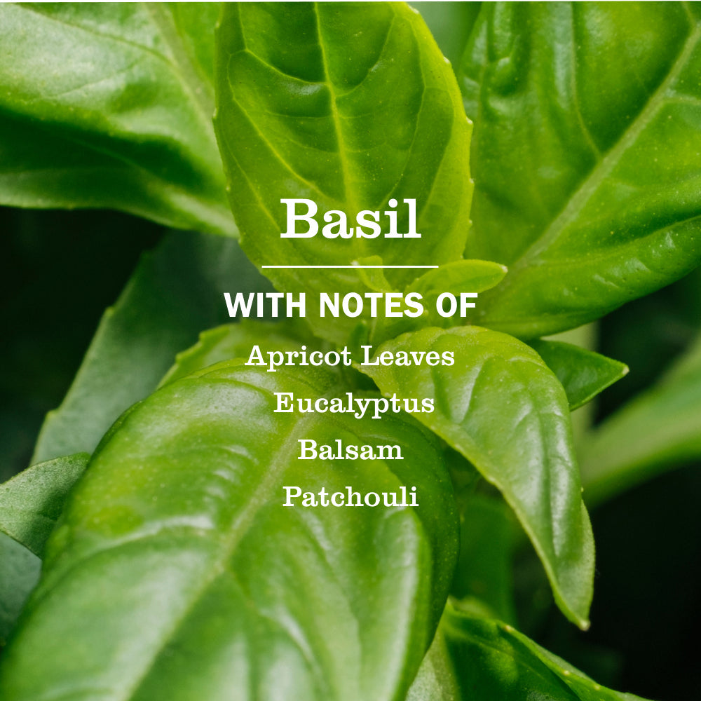 Mrs. Meyers Basil Room Freshener - for Home Fragrance
