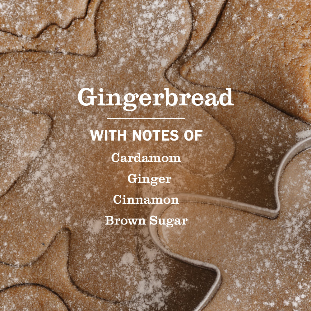 Gingerbread Multi - Surface Everyday Cleaner - for Home Cleaning