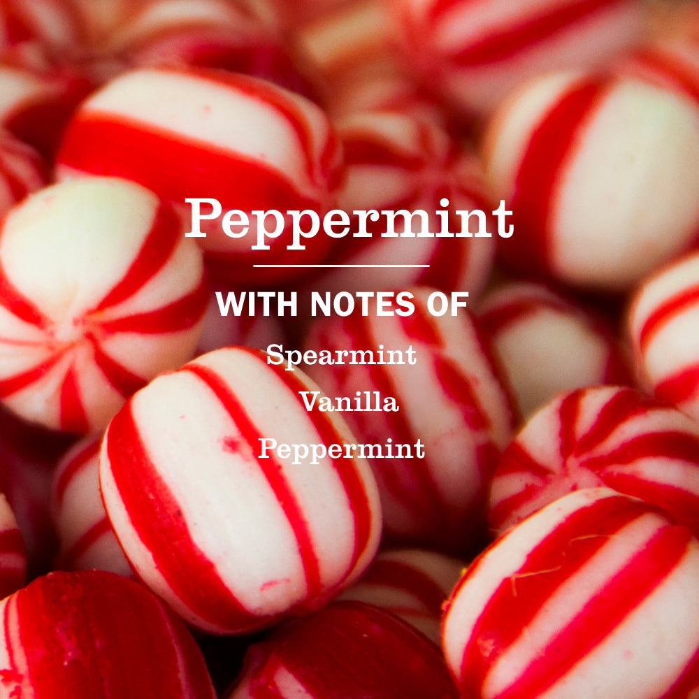 Mrs. Meyers Peppermint Liquid Hand Soap - for Hand Care