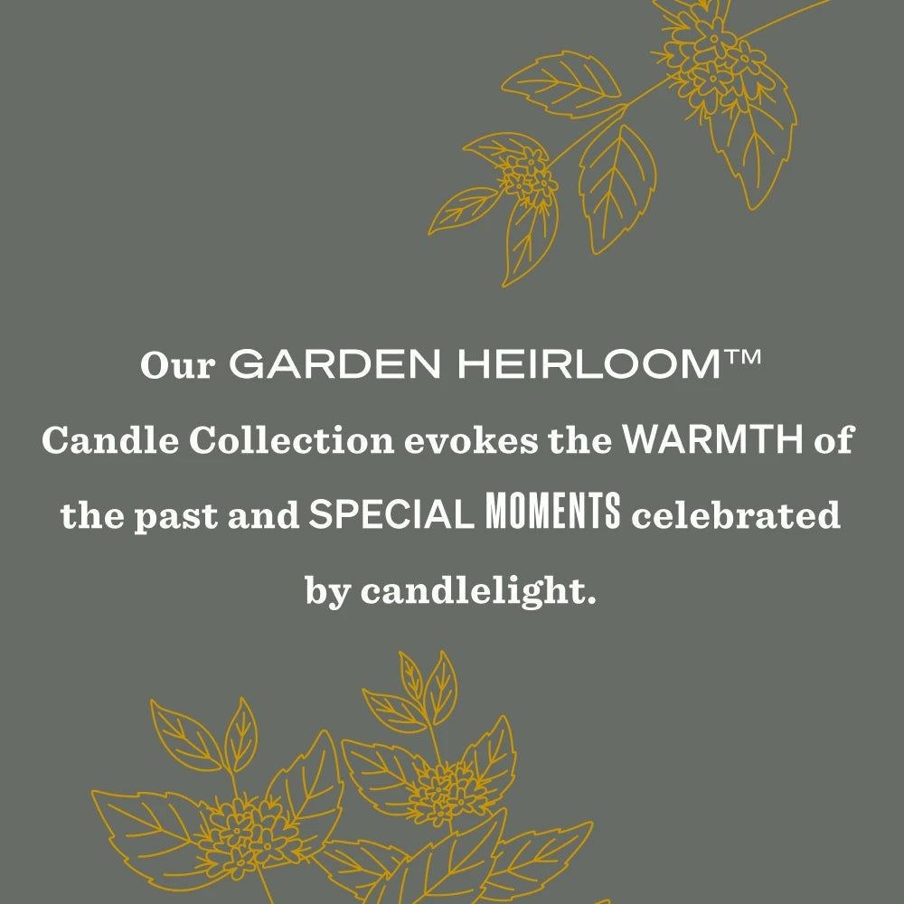 Mrs. Meyers Wild Mint Garden Heirloom Candle - for Home Fragrance