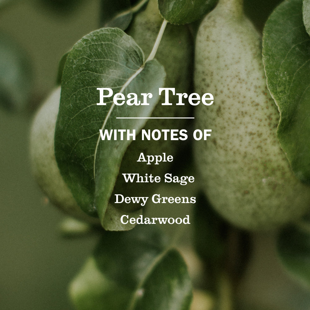 Pear Tree Liquid Hand Soap Mrs. Meyers - for Hand Care