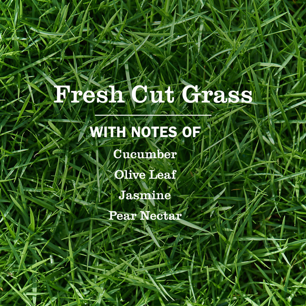 Fresh Cut Grass Multi - Surface Everyday Cleaner Mrs. Meyers - for Home Cleaning