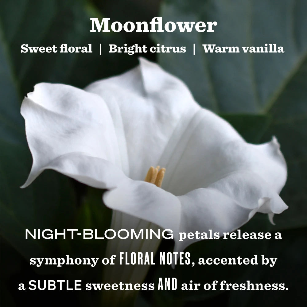 Mrs. Meyers Moonflower Garden Heirloom Candle - for Home Fragrance