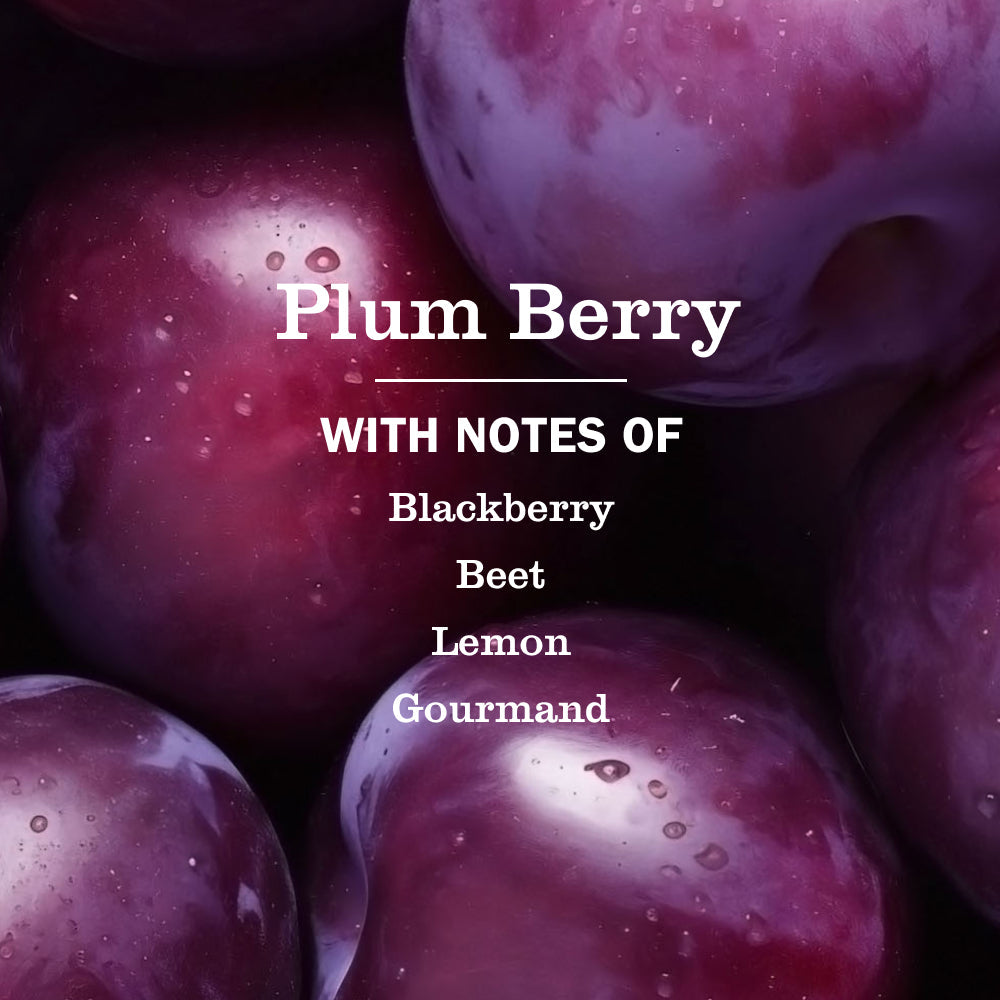 Mrs. Meyers Plum Berry Liquid Hand Soap - for Hand Care