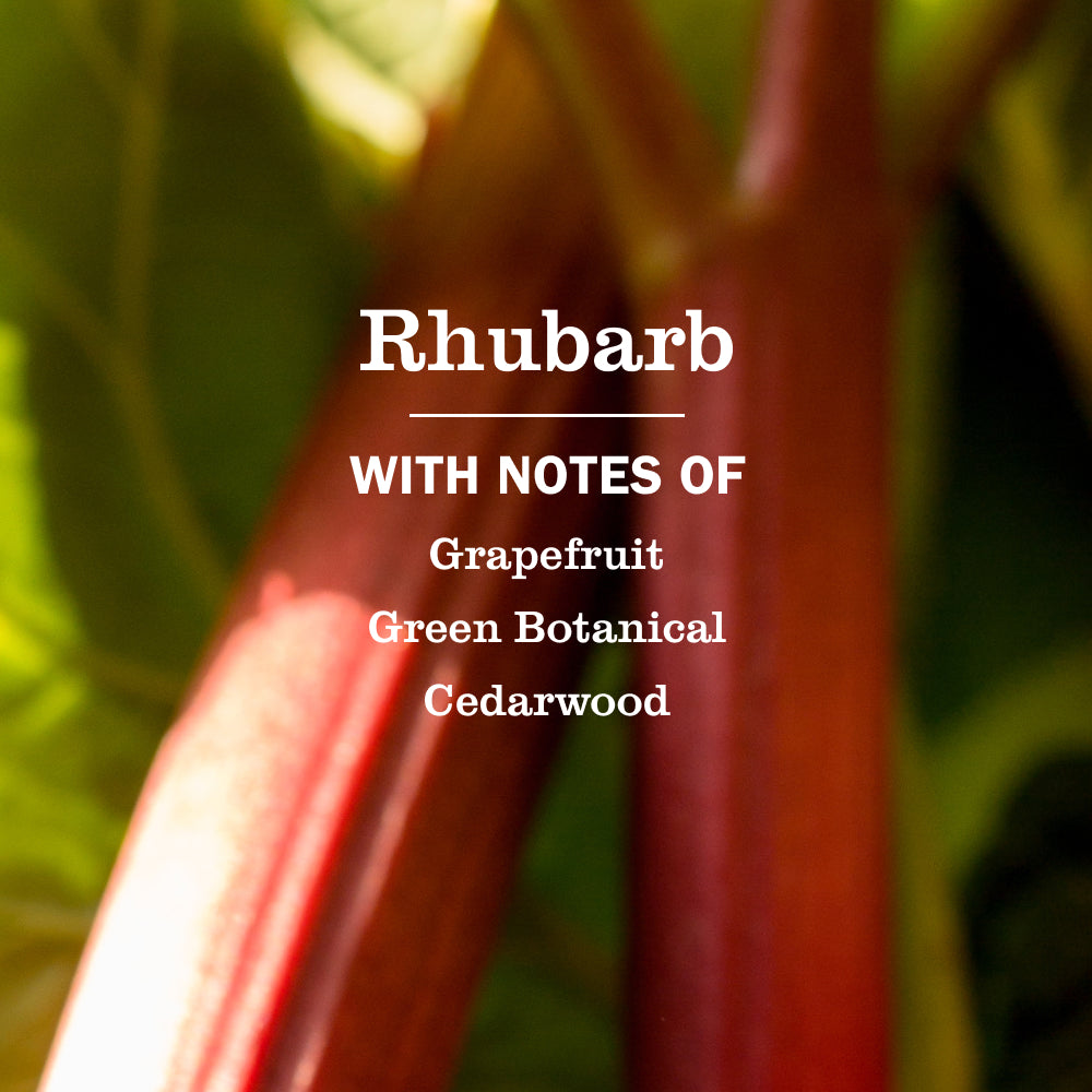 Mrs. Meyers Rhubarb Liquid Hand Soap - for Hand Care